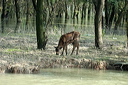 deltaveaudsc_5707_dxo_raw