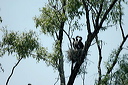 dortoirdsc_5357_dxo_raw