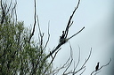 dortoirdsc_5358_dxo_raw