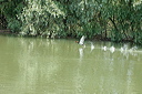 envoldsc_5610_dxo_raw