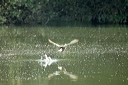 envoldsc_5644_dxo_raw