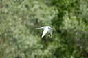guifettemoustac-dsc_5417_dx