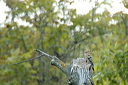 huppedsc_5722_dxo_raw