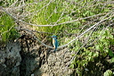 martinpecheurdsc_5646_dxo_r