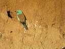 rollierdscn7573_dxo