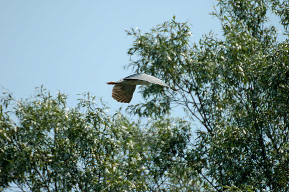 bihoreaudsc_5609_dxo_raw.jpg