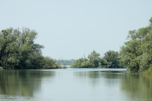 deltadanubedsc_5347_dxo_raw.jpg