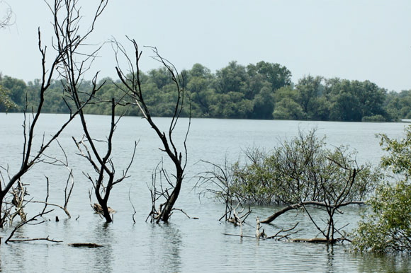 deltadanubedsc_5387_dxo_raw.jpg