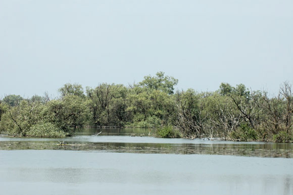 deltadanubedsc_5398_dxo_raw.jpg