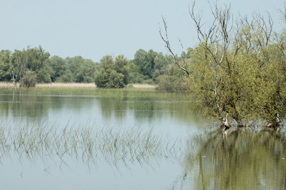 deltadanubedsc_5402_dxo_raw.jpg