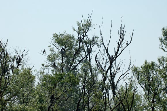 dortoirdsc_5354_dxo_raw.jpg