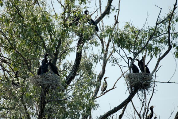 dortoirdsc_5356_dxo_raw.jpg