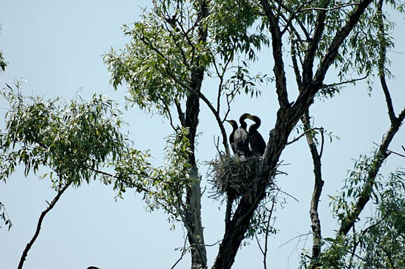 dortoirdsc_5357_dxo_raw.jpg