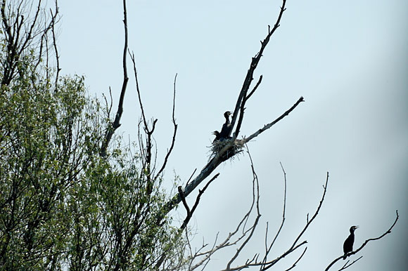 dortoirdsc_5358_dxo_raw.jpg