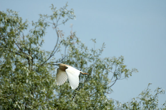 inconnudsc_5582_dxo_raw.jpg