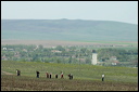 jour6dsc_5739_dxo_raw