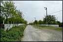 jour6dsc_5741_dxo_raw