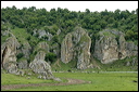jour6dsc_5742_dxo_raw