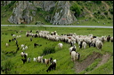 jour6dsc_5746_dxo_raw