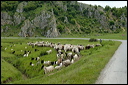 jour6dsc_5747_dxo_raw