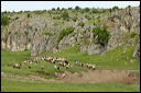 jour6dsc_5753_dxo_raw
