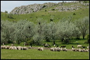 jour6dsc_5760_dxo_raw