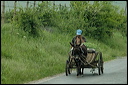 jour6dsc_5773_dxo_raw