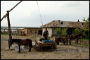 jour6dsc_5776_dxo_raw