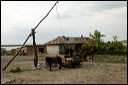 jour6dsc_5777_dxo_raw