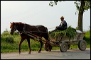 jour6dsc_5778_dxo_raw