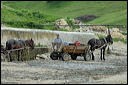 charrettedsc_5890_dxo_raw