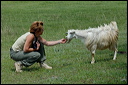 chevredsc_5862_dxo_raw