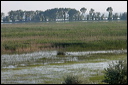 jour7dsc_5793_dxo_raw
