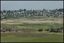 jour7dsc_5799_dxo_raw