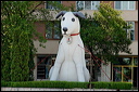 jour7dsc_5802_dxo_raw