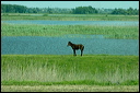 jour7dsc_5811_dxo_raw