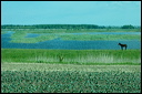 jour7dsc_5812_dxo_raw