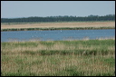 jour7dsc_5815_dxo_raw