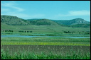 jour7dsc_5820_dxo_raw
