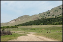 jour7dsc_5835_dxo_raw