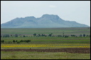 jour7dsc_5836_dxo_raw
