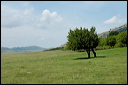 jour7dsc_5852_dxo_raw