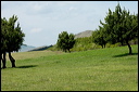 jour7dsc_5853_dxo_raw