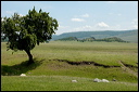 jour7dsc_5856_dxo_raw