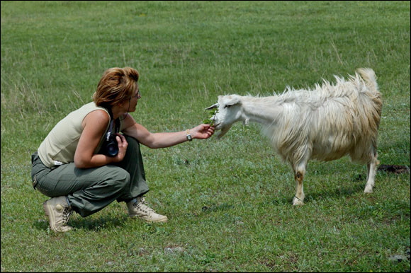 chevredsc_5862_dxo_raw.jpg