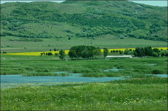 jour7dsc_5818_dxo_raw.jpg