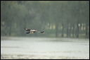 inconnudsc_5930_dxo_raw