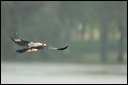 inconnudsc_5930_dxo_raw2