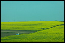 jour8dsc_5992_dxo_raw