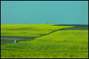 jour8dsc_5993_dxo_raw